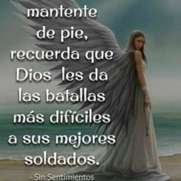 pmayorga43